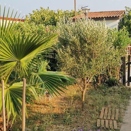 Chalet En Bois "Le Libellule" Sigean Ngoại thất bức ảnh
