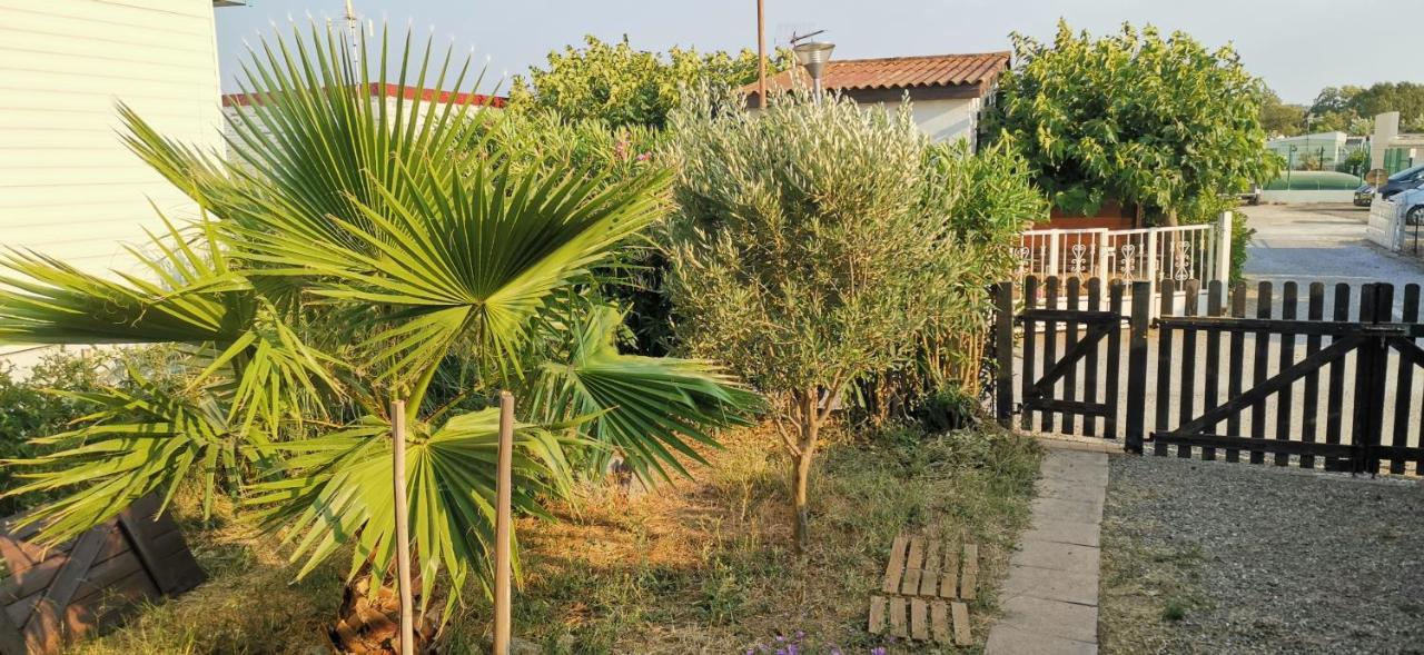 Chalet En Bois "Le Libellule" Sigean Ngoại thất bức ảnh